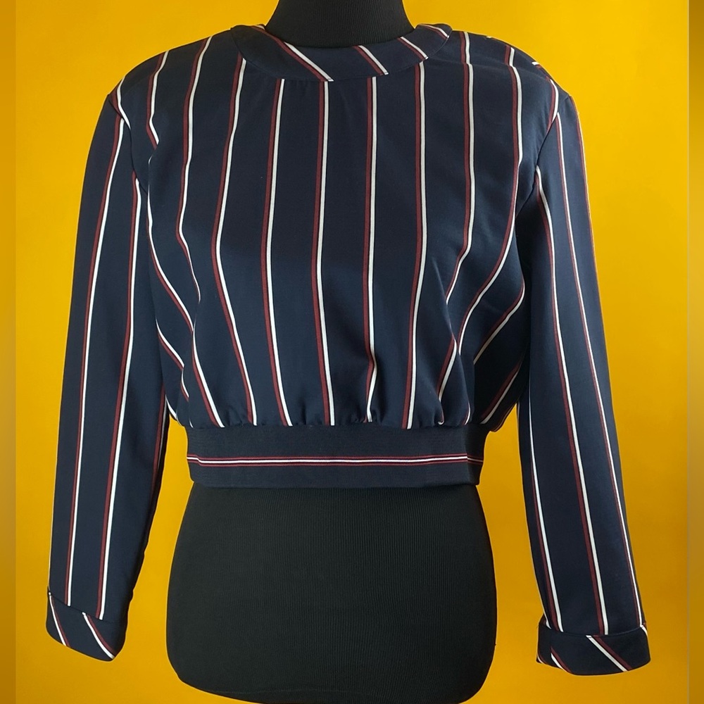 NWT Zara Navy Burgundy Striped Crop Top